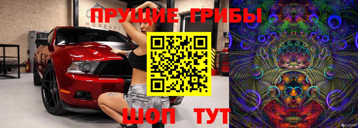 Великие Луки  Псилоцибиновые грибы Cubensis  Вход с VPN 
