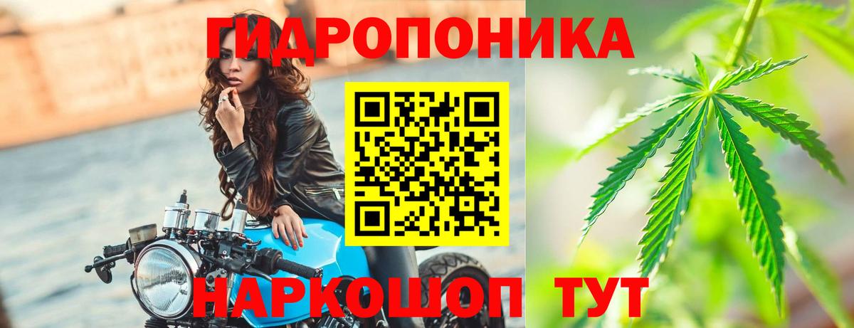 Бошки Шишки ГИДРОПОН Великие Луки